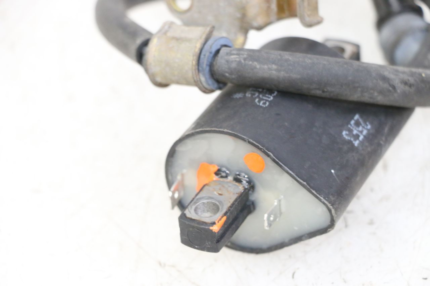 photo de BOBINA SYM JOYMAX 125 (2010 - 2017) - Primo piano tecnico