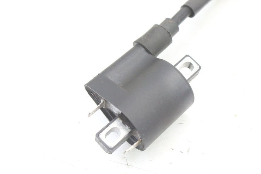 photo de BOBINA LONGJIA SHARPY 125 (2020 - 2024) - Dettaglio del componente