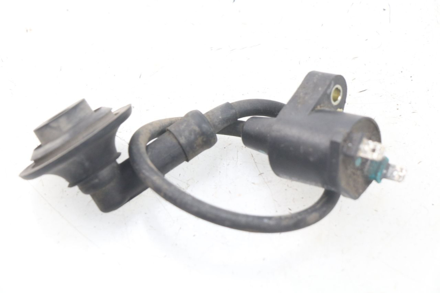 photo de BOBINA PEUGEOT LUDIX 50 (2008 - 2017) - Dettaglio del componente