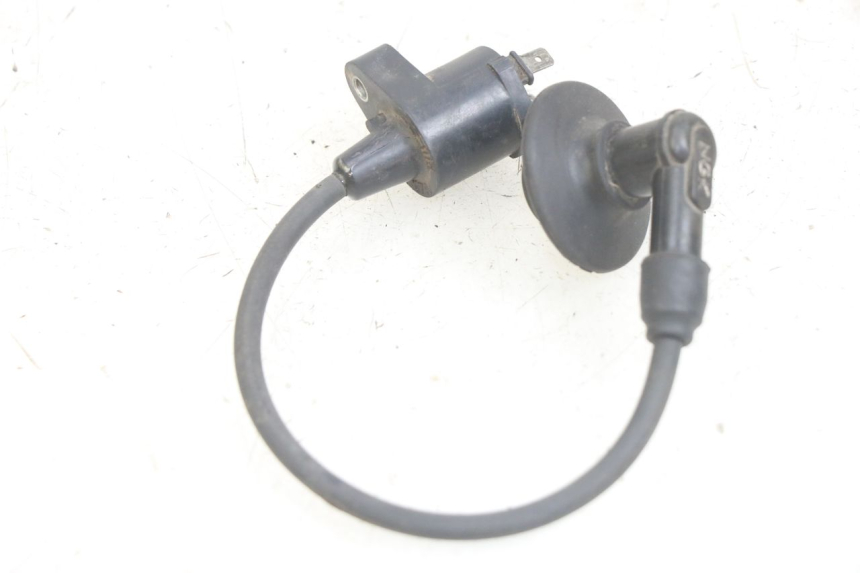 photo de BOBINA PEUGEOT LUDIX 50 (2005 - 2007) - Dettaglio del componente