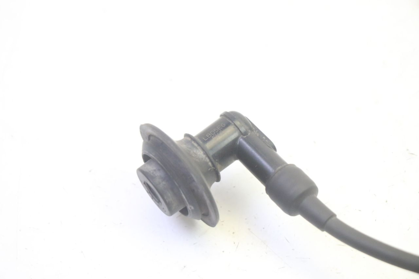 photo de BOBINA PEUGEOT LUDIX 50 (2008 - 2017) - Dettaglio del componente