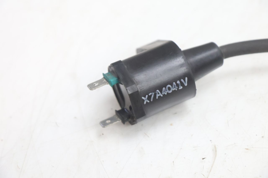 photo de BOBINA PEUGEOT LUDIX ONE 14P 50 (2004 - 2013) - Dettaglio del componente