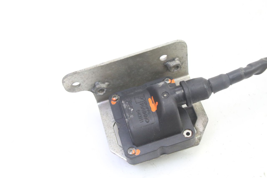 photo de BOBINA PIAGGIO MP3 RL 250 (2006 - 2010) - Dettaglio del componente