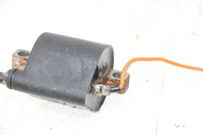 photo de BOBINA YAMAHA PW 80 (1983 - 2014) - Zoom sullo stato d'uso