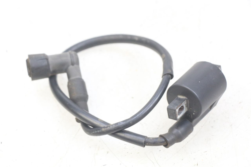 photo de BOBINA YAMASAKI RAPTOR 50 (2013 - 2018) - Vista principale