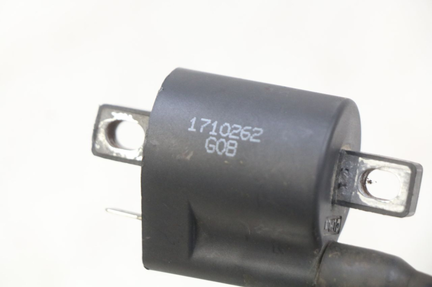 photo de BOBINA YAMASAKI RAPTOR 50 (2013 - 2018) - Dettaglio del componente