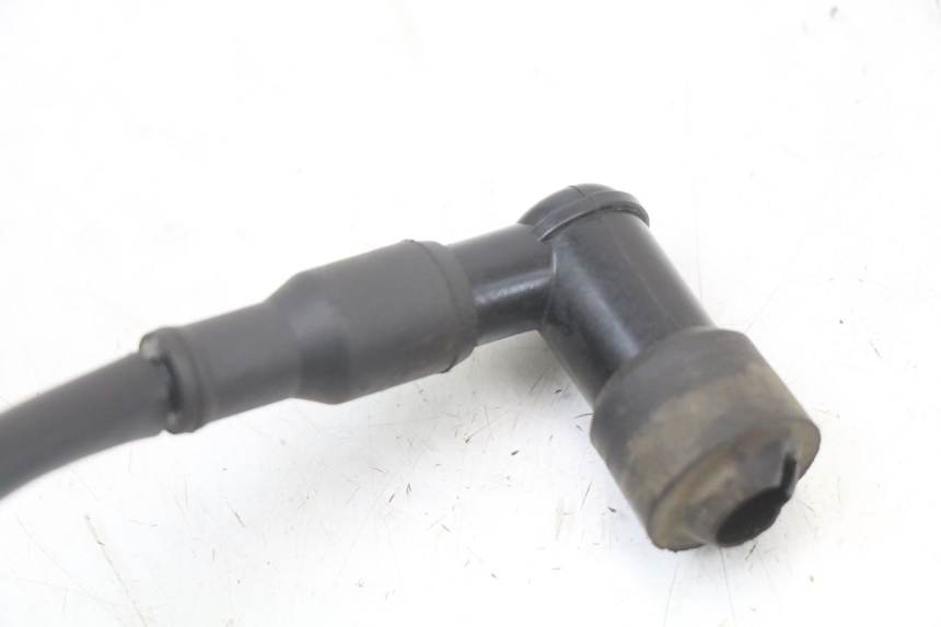 photo de BOBINA TNT MOTOR ROMA 10' 2T 50 (2011 - 2018) - Vista d'insieme del prodotto