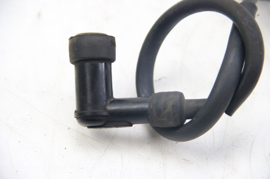 photo de BOBINA TNT MOTOR ROMA 12' 2T 50 (2007 - 2018) - Altra angolazione