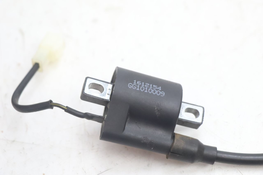 photo de BOBINA TNT MOTOR ROMA 12' 2T 50 (2007 - 2018) - Dettaglio del componente