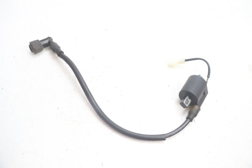 photo de BOBINA TNT MOTOR ROMA 12' 2T 50 (2007 - 2018) - Altra angolazione