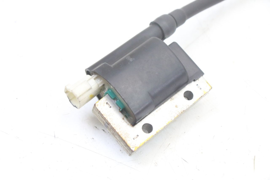 photo de BOBINA ROYAL ENFIELD HYMALAYAN 410 (2016 - 2023) - Dettaglio del componente