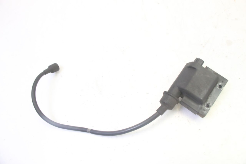 photo de BOBINA PEUGEOT SATELIS 125 (2006 - 2009) - Vista principale