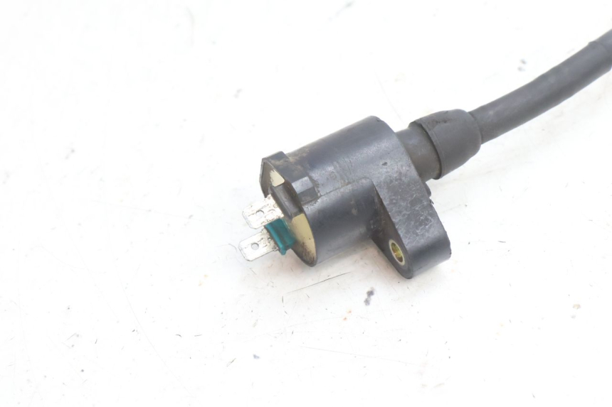 photo de BOBINA HONDA SH 125 (2001 - 2003) - Dettaglio del componente