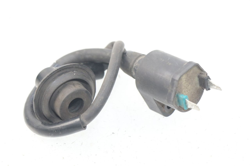 photo de Bobina HONDA SJ BALI 50 (1996 - 1999) - Zoom sullo stato d'uso