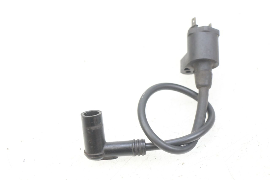 photo de BOBINA PEUGEOT SPEEDFIGHT 2 AC 50 (2000 - 2009) - Dettaglio del componente