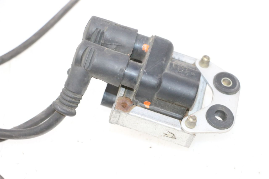 photo de BOBINA DUCATI SS IE DS CARENEE 1000 (2002 - 2006) - Caratteristiche distintive