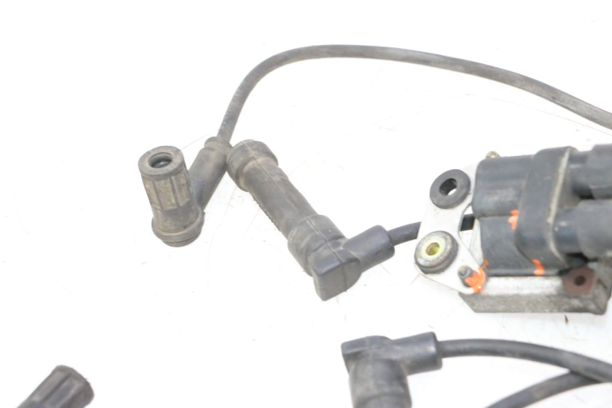 photo de BOBINA DUCATI SS IE DS CARENEE 1000 (2002 - 2006) - Marcature e riferimenti originali