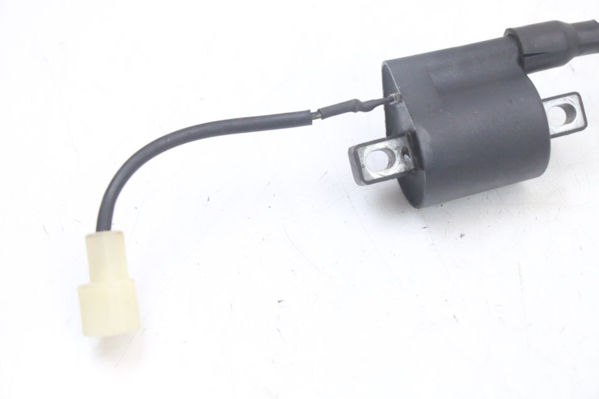 photo de BOBINA TNT MOTOR ROMA 10' 2T 50 (2011 - 2018) - Dettaglio del componente