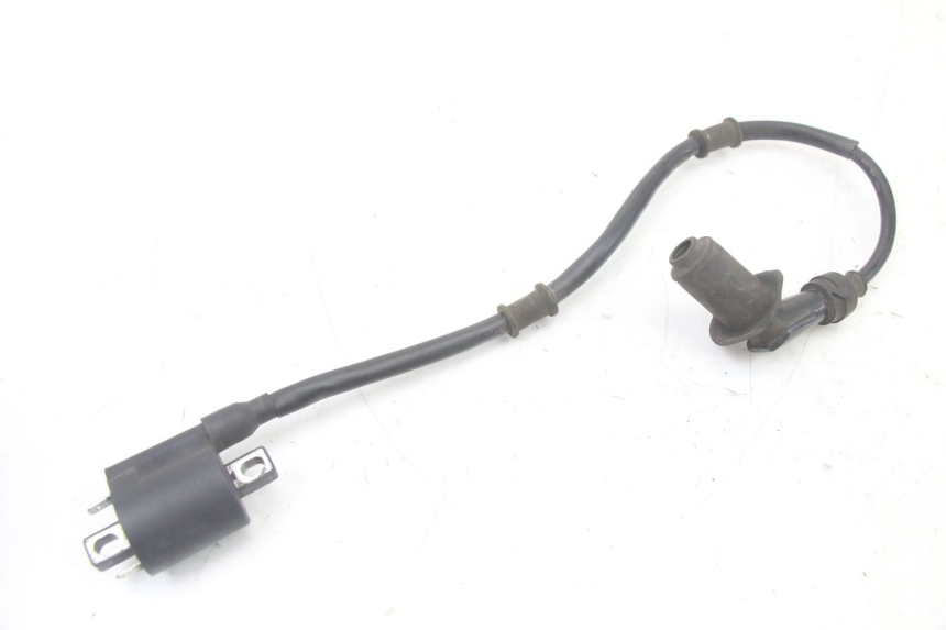 photo de BOBINA TNT MOTOR ROMA 10' 4T 50 (2019 - 2022) - Altra angolazione