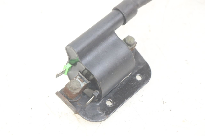 photo de BOBINA PEUGEOT TWEET 4T 50 (2018 - 2022) - Zoom sullo stato d'uso