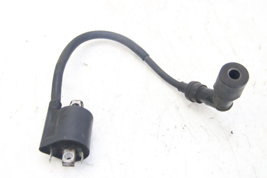photo de BOBINA YAMAHA XMAX X-MAX 125 (2006 - 2009) - Dettaglio del componente