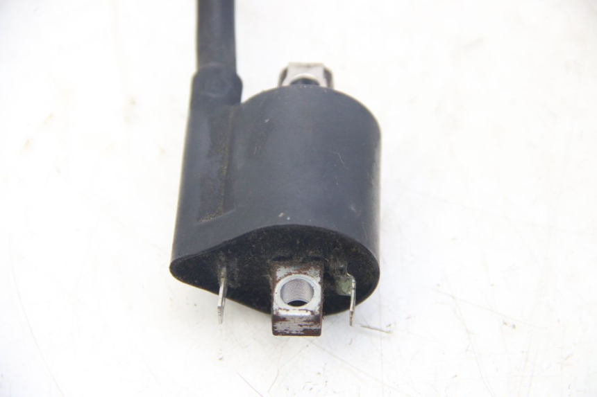 photo de BOBINA YAMAHA XMAX X-MAX 125 (2006 - 2009) - Zoom sullo stato d'uso