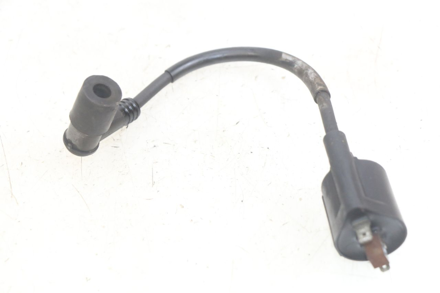 photo de BOBINA YAMAHA X-MAX XMAX 250 (2006 - 2009) - Dettaglio del componente