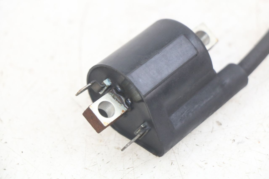 photo de BOBINA YAMAHA X-MAX XMAX 250 (2006 - 2009) - Zoom sullo stato d'uso