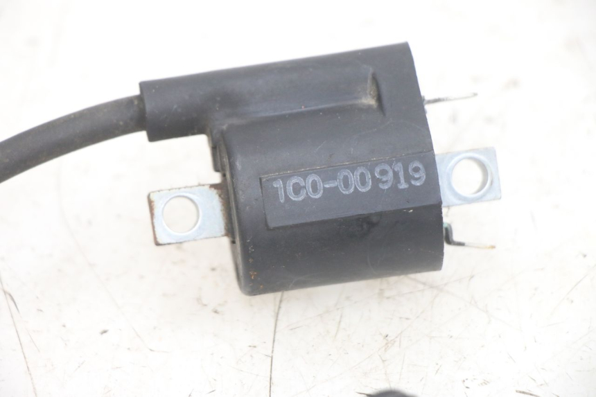 photo de BOBINA YAMAHA X-MAX XMAX 250 (2006 - 2009) - Zoom sullo stato d'uso