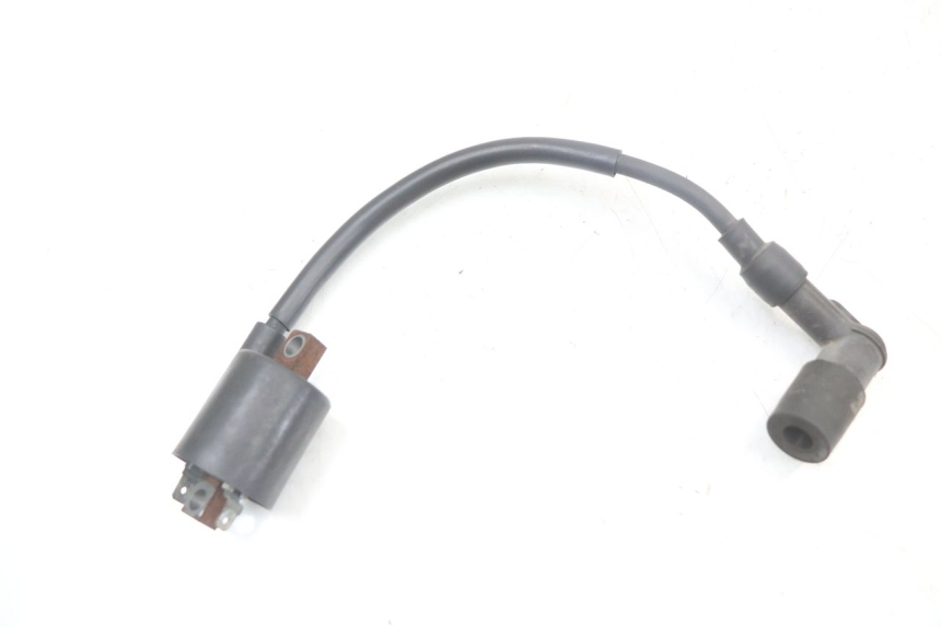 photo de BOBINA YAMAHA X-MAX XMAX 250 (2006 - 2009) - Dettaglio del componente