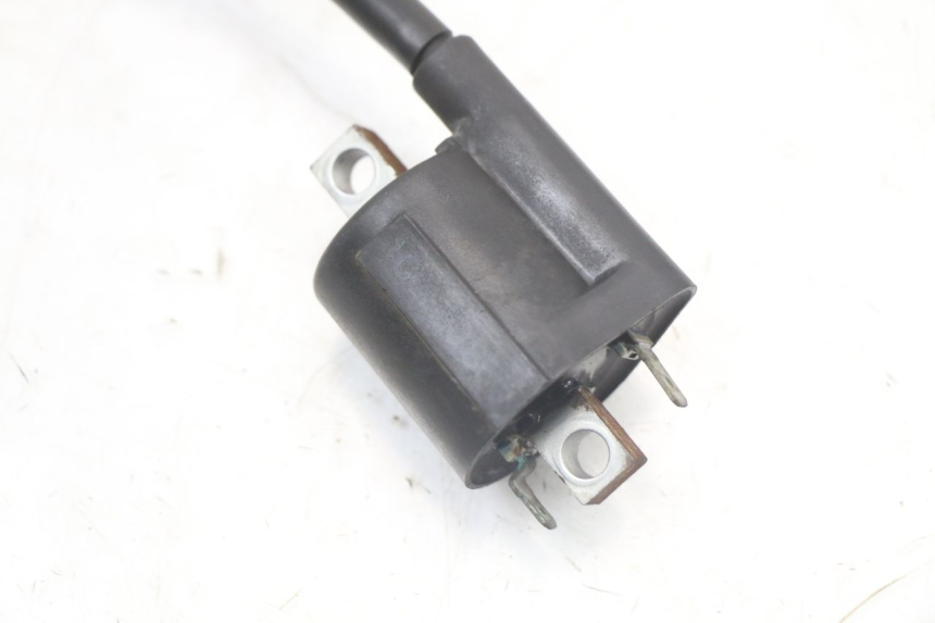 photo de BOBINA YAMAHA X-MAX XMAX 250 (2006 - 2009) - Zoom sullo stato d'uso