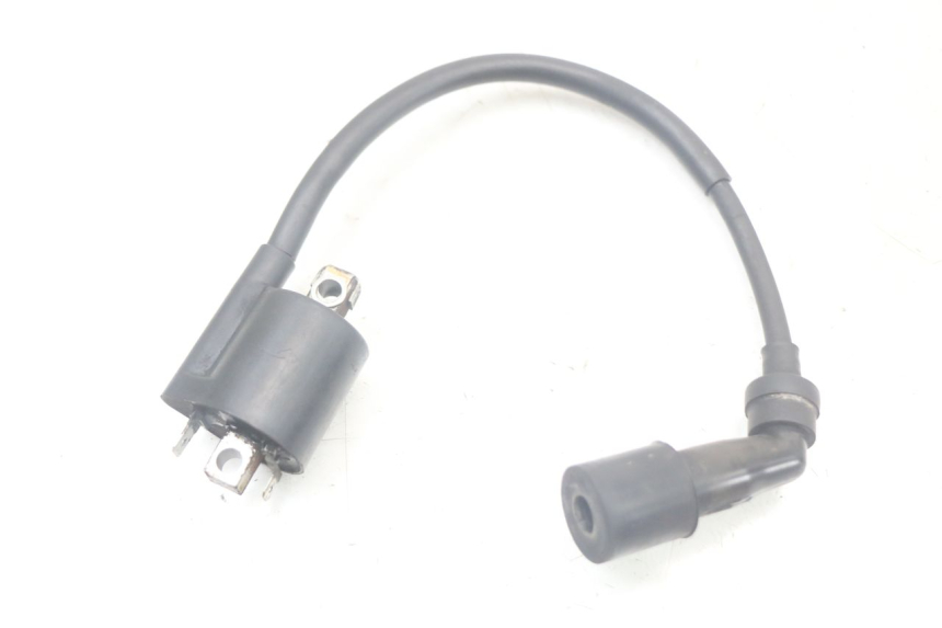 photo de BOBINA YAMAHA XMAX X-MAX 125 (2006 - 2009) - Dettaglio del componente