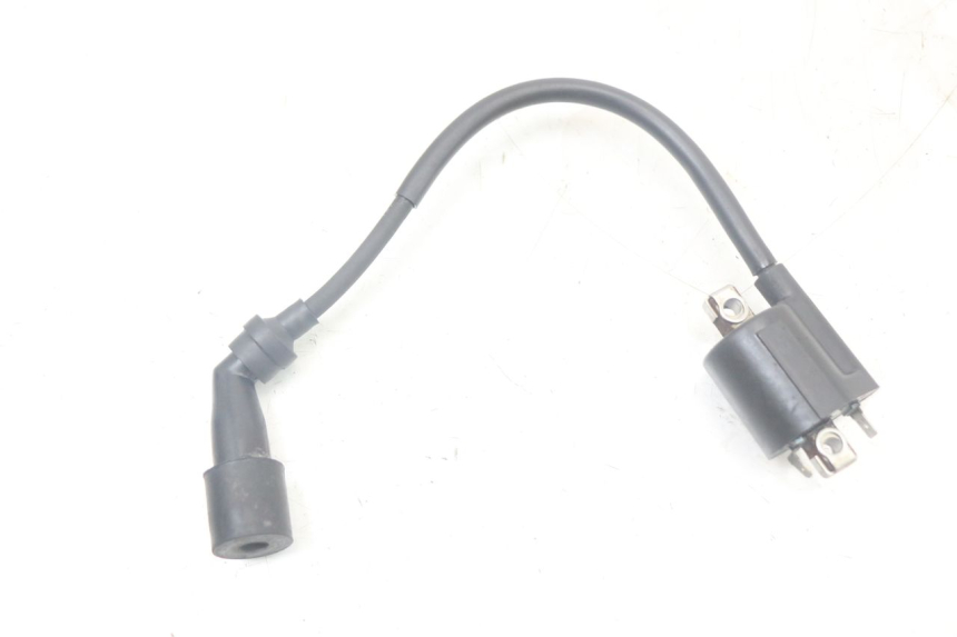 photo de BOBINA YAMAHA XMAX X-MAX 125 (2006 - 2009) - Dettaglio del componente