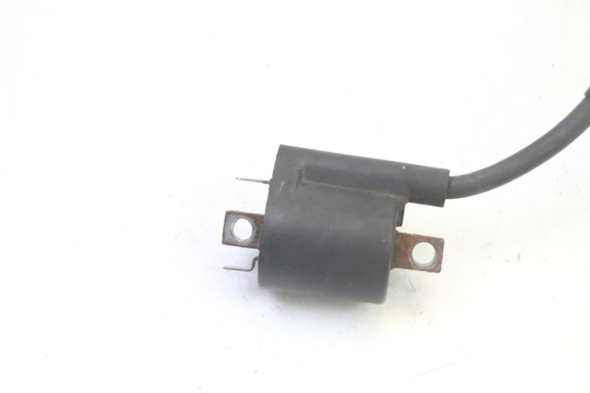 photo de BOBINA YAMAHA X-MAX XMAX 125 (2010 - 2013) - Vista d'insieme del prodotto