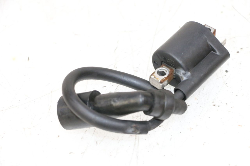 photo de BOBINA YAMAHA XMAX X-MAX 125 (2006 - 2009) - Dettaglio del componente