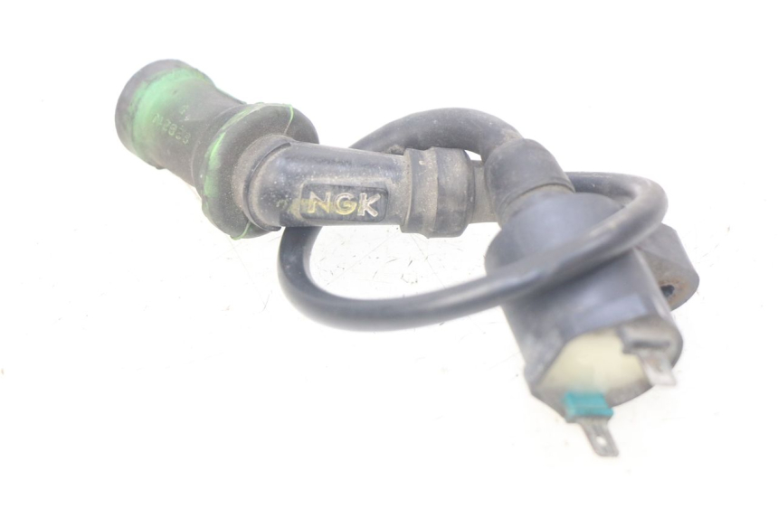 photo de BOBINA PIAGGIO X9 EVOLUTION 250 (2003 - 2007) - Vista principale