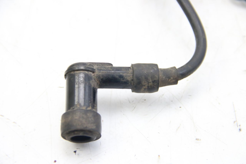 photo de BOBINA PEUGEOT XP6 50 (1997 - 2003) - Dettaglio del componente