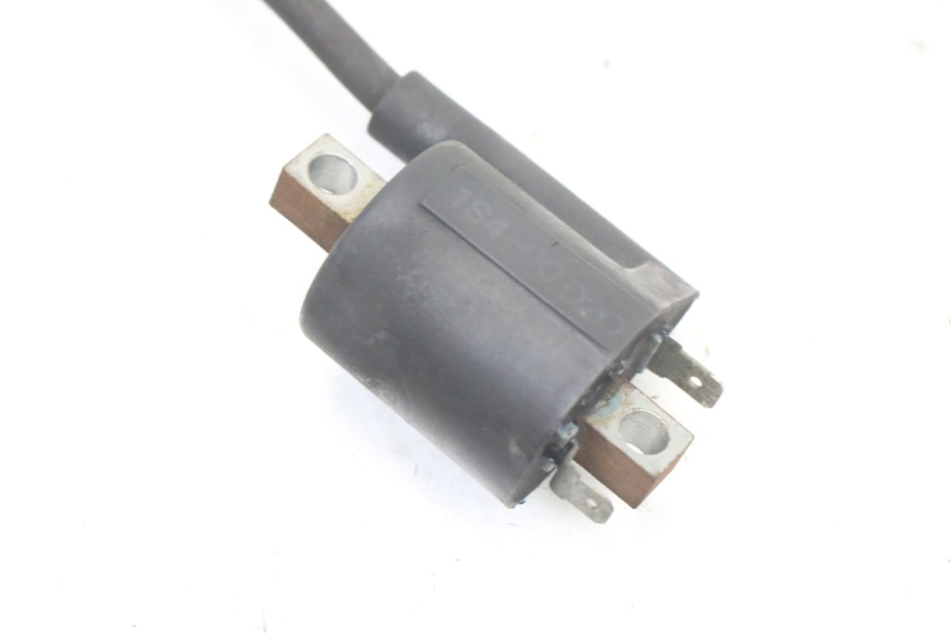 photo de BOBINA YAMAHA X-MAX XMAX ABS 250 (2010 - 2014) - Zoom sullo stato d'uso