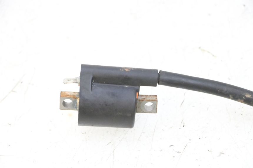 photo de BOBINA YAMAHA YFM R RAPTOR 250 (2008 - 2014) - Altra angolazione