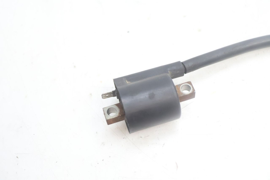 photo de BOBINA YAMAHA YP MAJESTY 125 (2002 - 2006) - Dettaglio del componente
