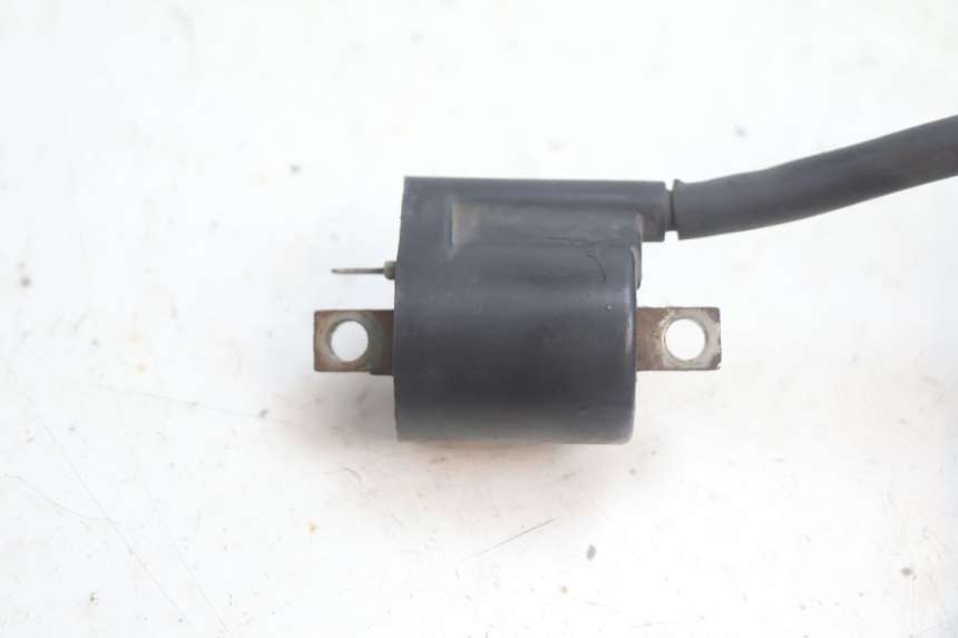 photo de BOBINA YAMAHA YP MAJESTY 125 (2002 - 2006) - Dettaglio del componente