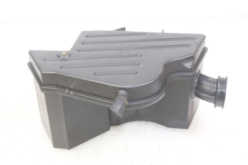 photo de SCATOLA DELL'ARIA DAELIM VJ ROADWIN FI 125 (2008 - 2017) - Dettaglio del componente