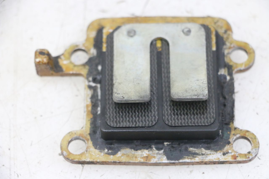 photo de VALVOLA LAMELLARE MBK BOOSTER SPIRIT NAKED 50 (2004 - 2017) - Zoom sullo stato d'uso