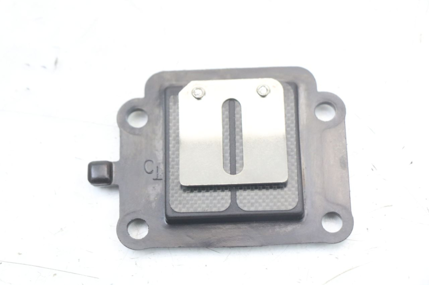 photo de VALVOLA LAMELLARE YAMAHA BW'S 50 (2004 - 2017) - Dettaglio del componente