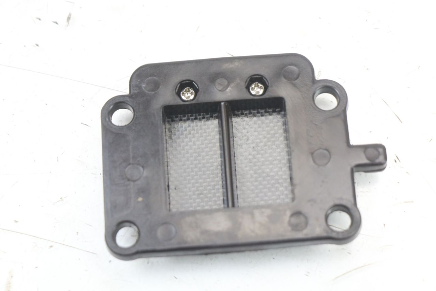 photo de VALVOLA LAMELLARE YAMAHA BW'S 50 (2004 - 2017) - Altra angolazione