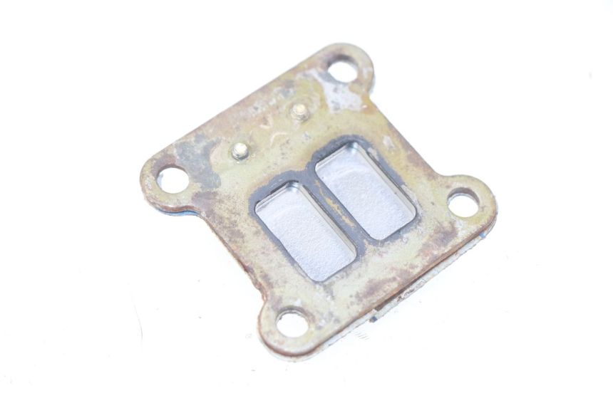 photo de VALVOLA A FARFALLA POCKET BIKE COURSE 50 - Dettaglio del componente