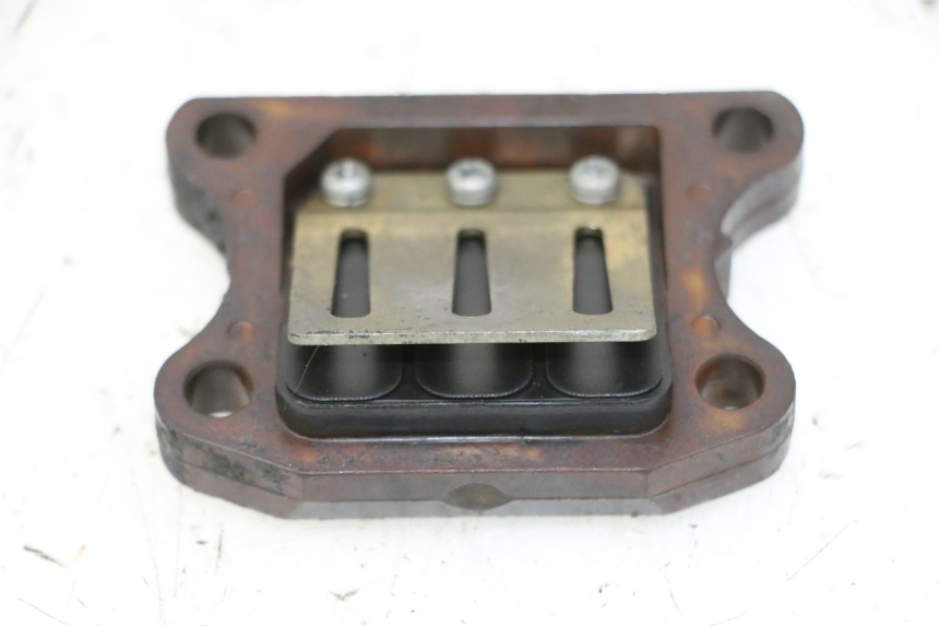 photo de VALVOLA LAMELLARE PEUGEOT ELYSTAR 50 (2002 - 2014) - Vista principale