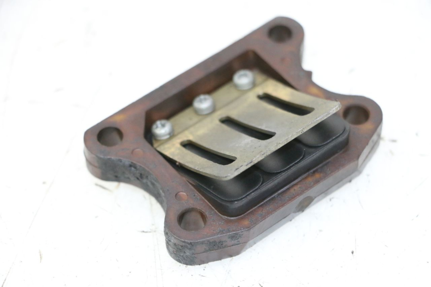 photo de VALVOLA LAMELLARE PEUGEOT ELYSTAR 50 (2002 - 2014) - Dettaglio del componente