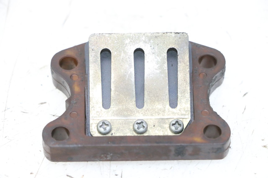 photo de VALVOLA LAMELLARE PEUGEOT ELYSTAR 50 (2002 - 2014) - Zoom sullo stato d'uso