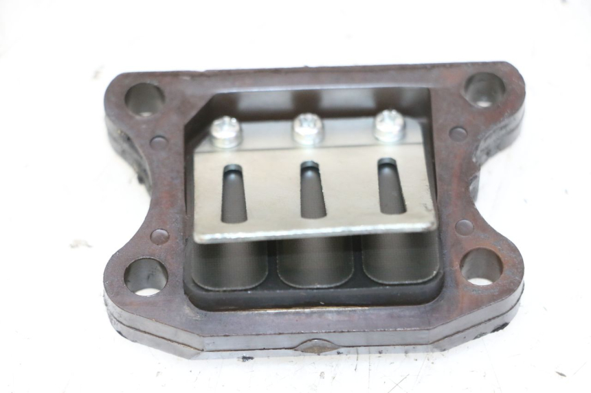 photo de VALVOLA LAMELLARE PEUGEOT ELYSTAR 50 (2002 - 2014) - Altra angolazione